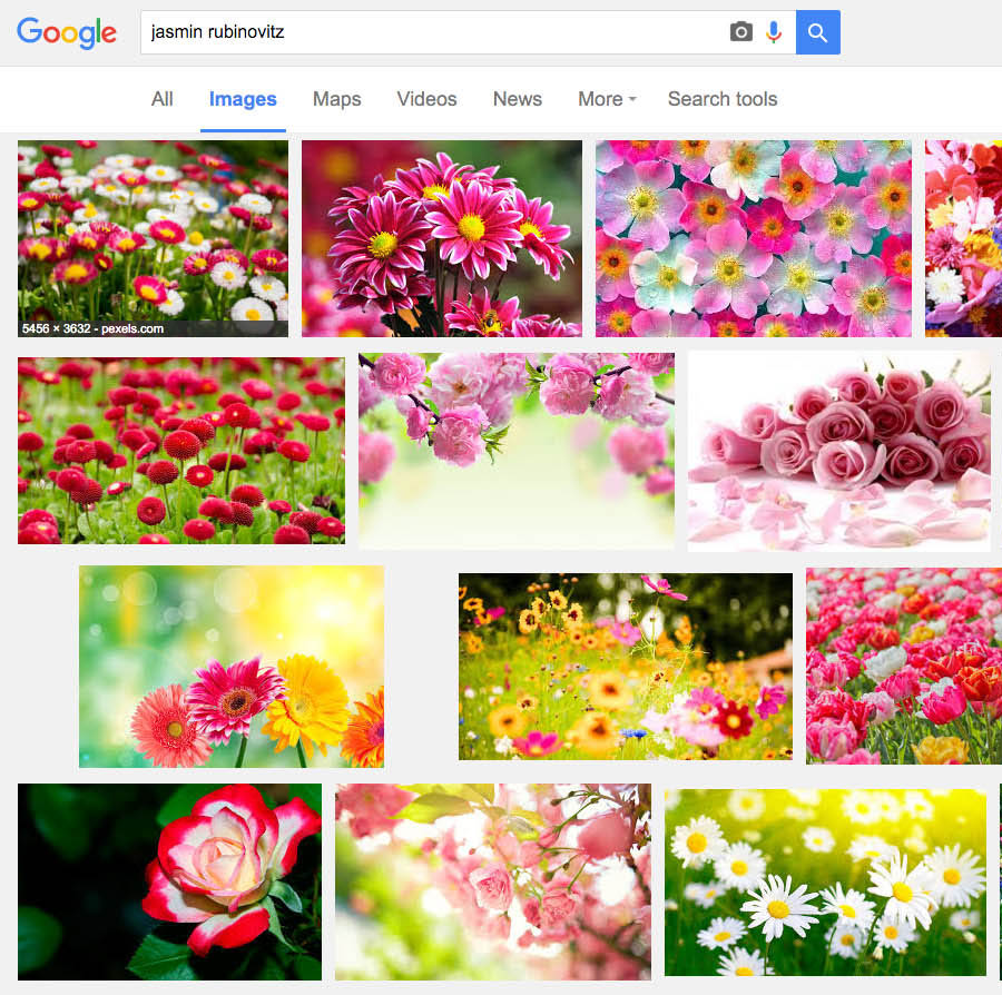 Google image search